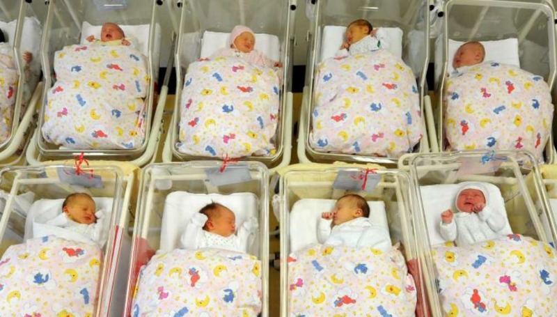Новости: Количество новорожденных бьет все рекорды