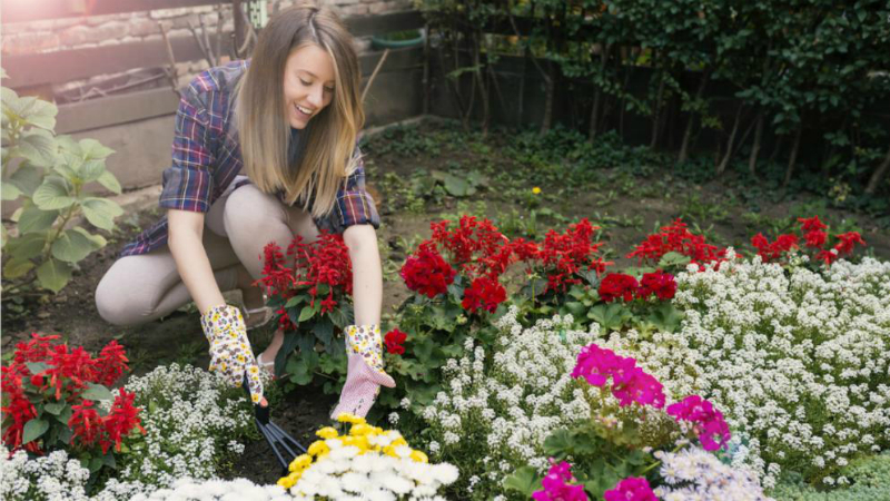 Домашние хитрости: Как правильно бороться с сорняками и ухаживать за садом?