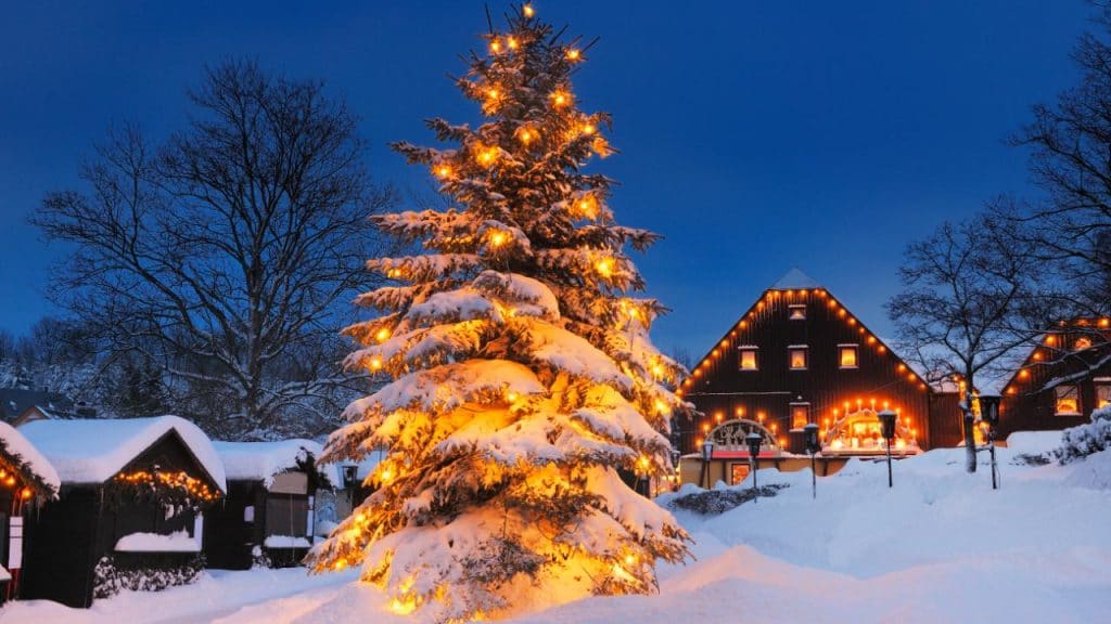 Погода: Изменение погоды: немцам больше не следует ждать снега на Рождество