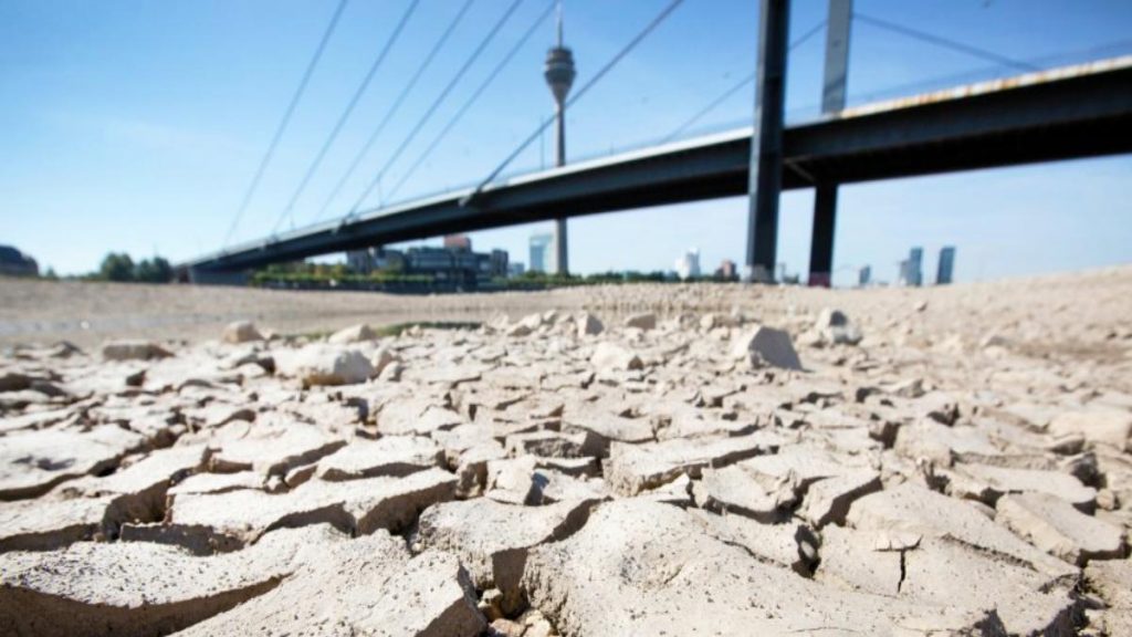 Общество: Очередная летняя засуха станет крайне опасной для Германии