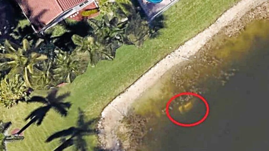 Отовсюду обо всем: Благодаря Google Earth был найден мужчина, исчезнувший 22 года назад