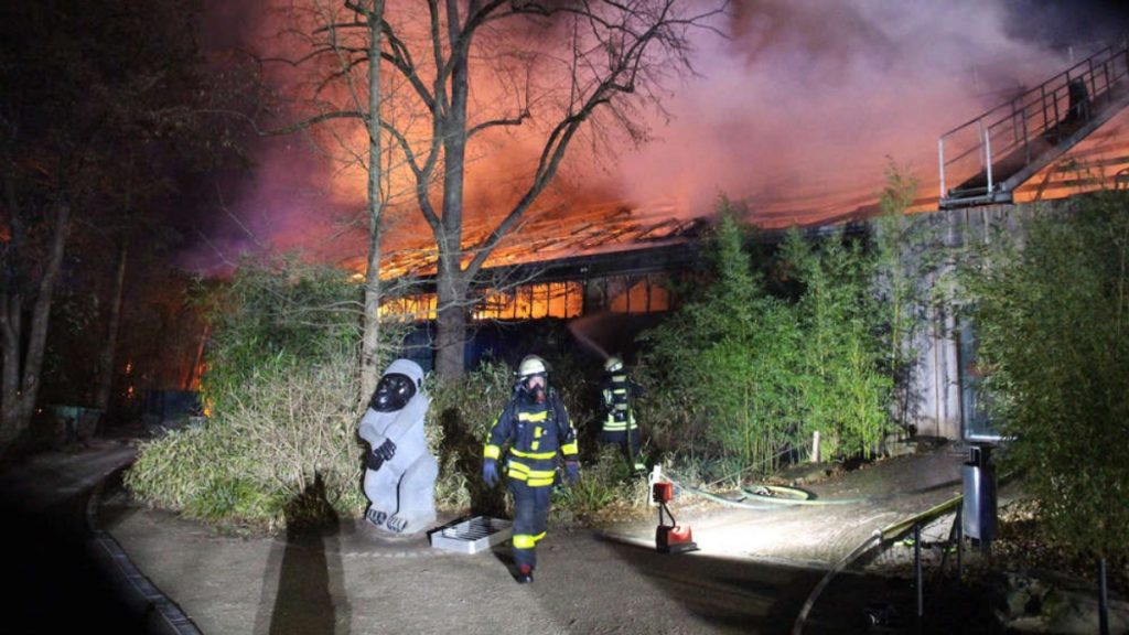 Происшествия: Новогоднее развлечение спровоцировало пожар в зоопарке: погибло больше 30 животных
