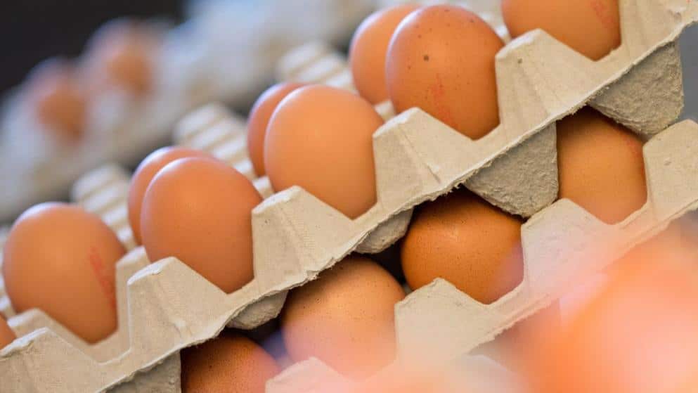 Общество: Новый год начался с подорожания: Aldi и Lidl подняли цены на куриные яйца