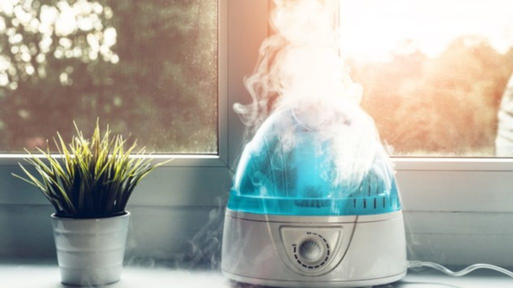 Здоровье: Помогают ли увлажнители воздуха в квартире защититься от инфекций