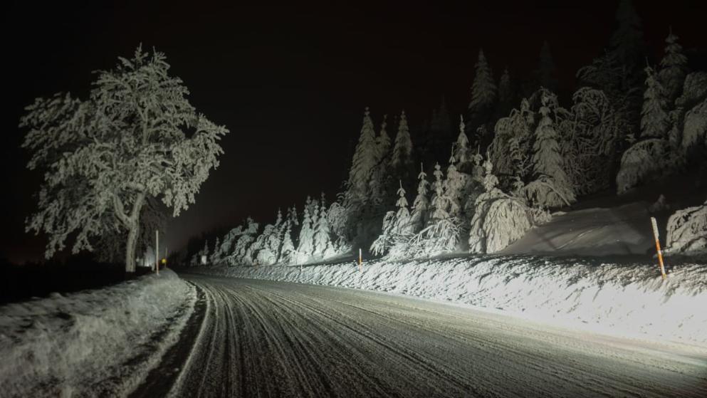 Фиалка полярная ночь фото