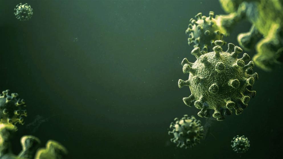Общество: Омикрон уже в Германии: в Мюнхене подтверждены два случая заражения новым штаммом коронавируса
